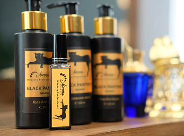 как открыть франшизу Мечта Бьюти