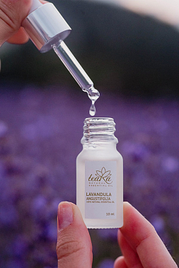 teaRa — франшиза премиальной натуральной косметики