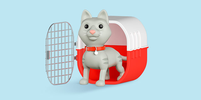 Франшизы зоогостиниц